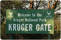 จัดทัวร์แอฟริกาใต้ : อุทยานแห่งชาติครูเกอร์