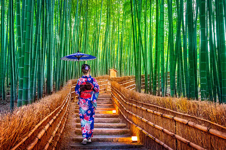 เดินผ่านป่าไผ่ Arashiyama