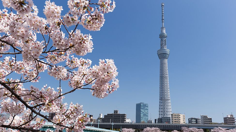 ชมวิวจากหอคอย Tokyo Skytree