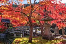 Higashiyama จังหวัด Kyoto