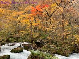 Oirase จังหวัด Aomori