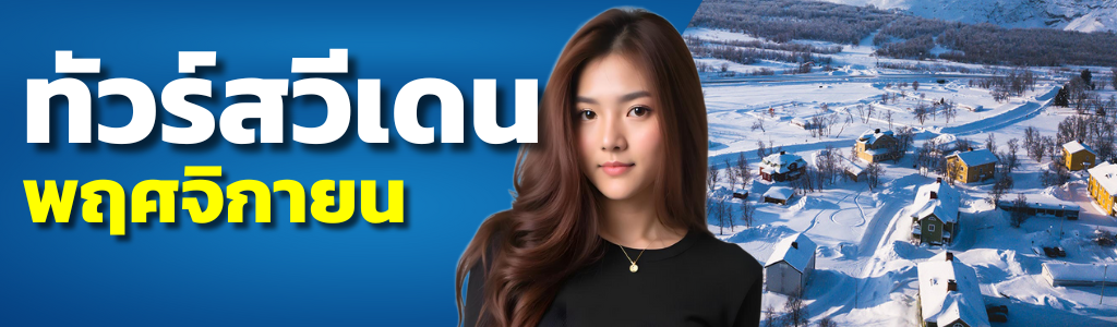 ทัวร์สวีเดน พฤศจิกายน