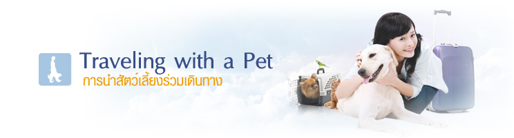 การนำสัตว์เลี้ยงร่วมเดินทาง