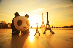 panda2