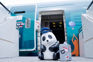 panda7