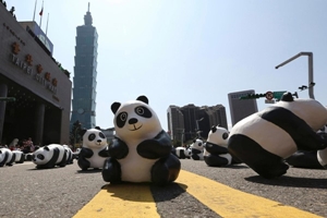 panda4