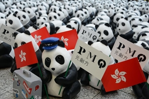 panda5