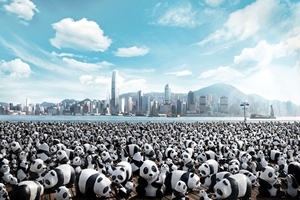 panda5