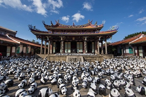 panda6