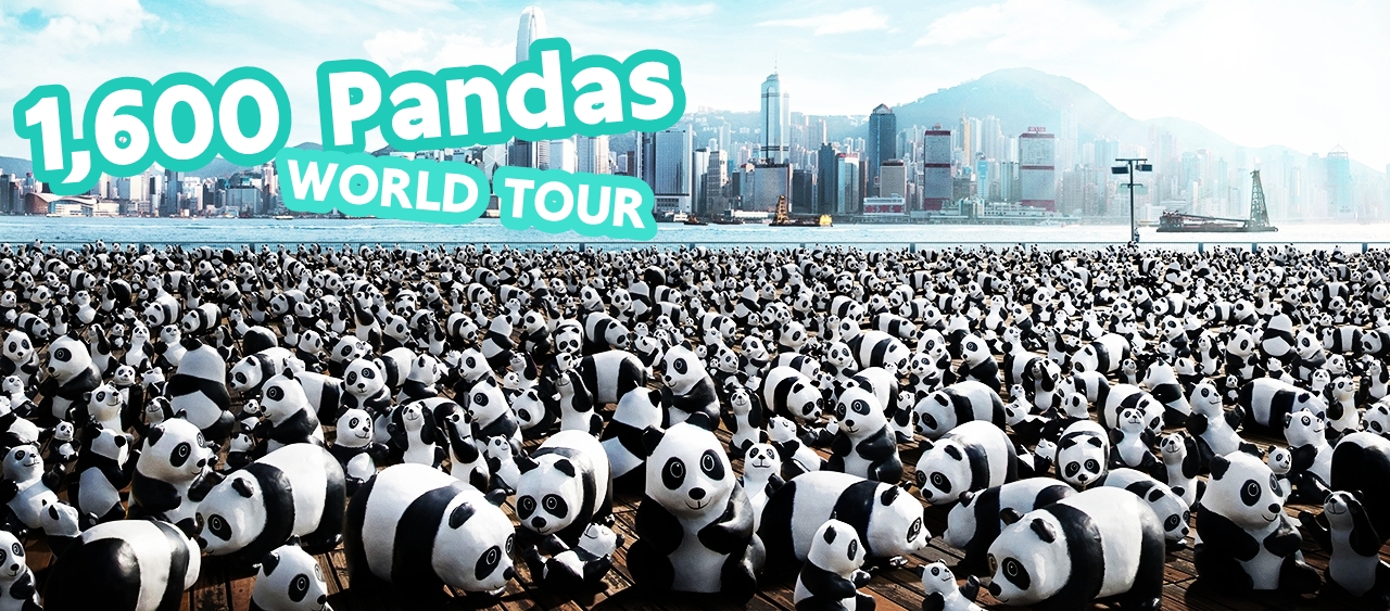 panda1