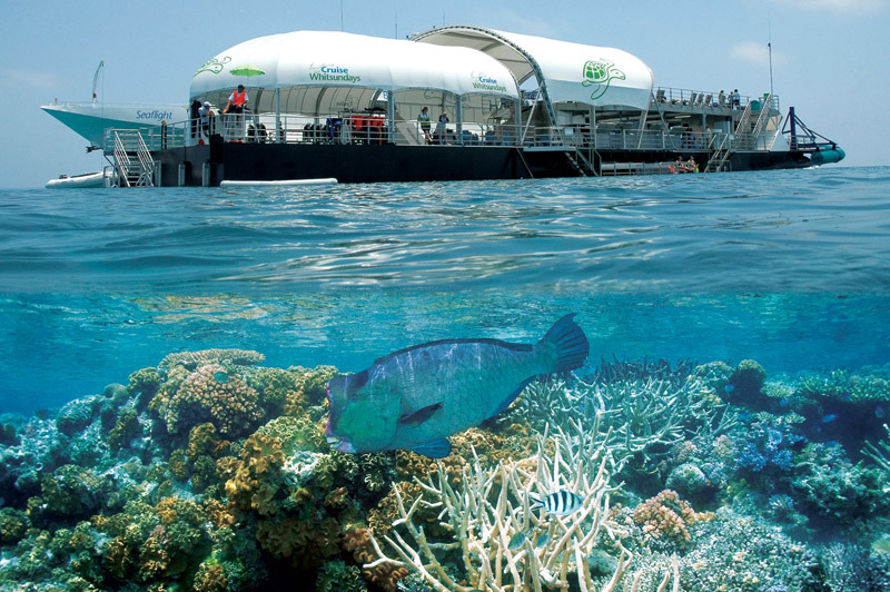 สวรรค์ของนักดำ น้ำ"Great Barrier Reef