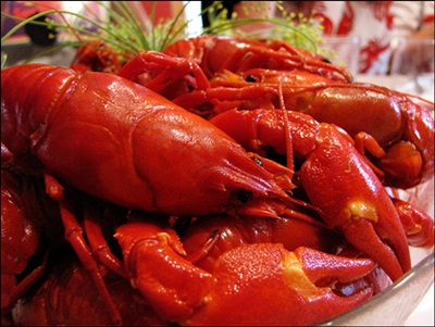 กุ้งมังกร (Crayfish)